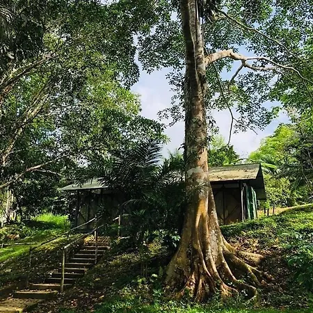 Eco Hotel Aldea -Amazonas Puerto Narino Exterior photo