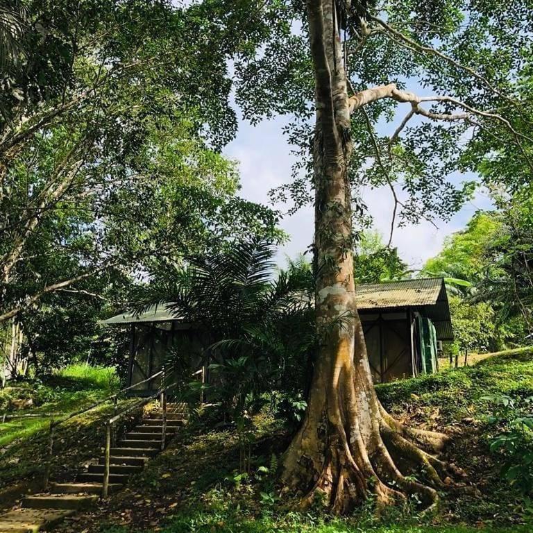 Country house Eco Aldea -amazonas Puerto Narino