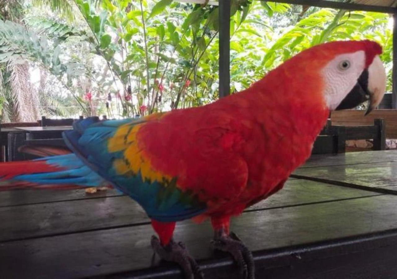 Eco Aldea -amazonas