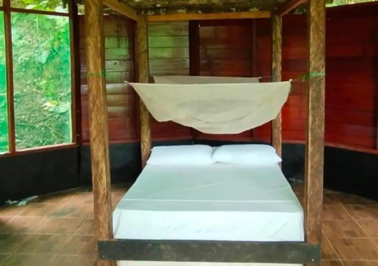 Eco Aldea -amazonas *