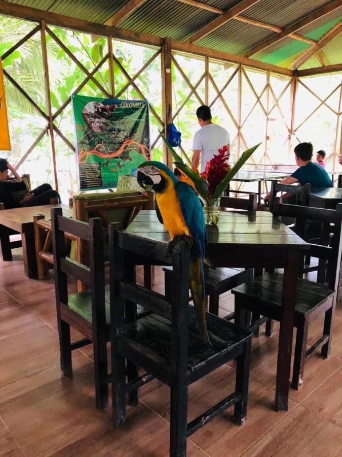 Eco Aldea -amazonas Country house Puerto Narino