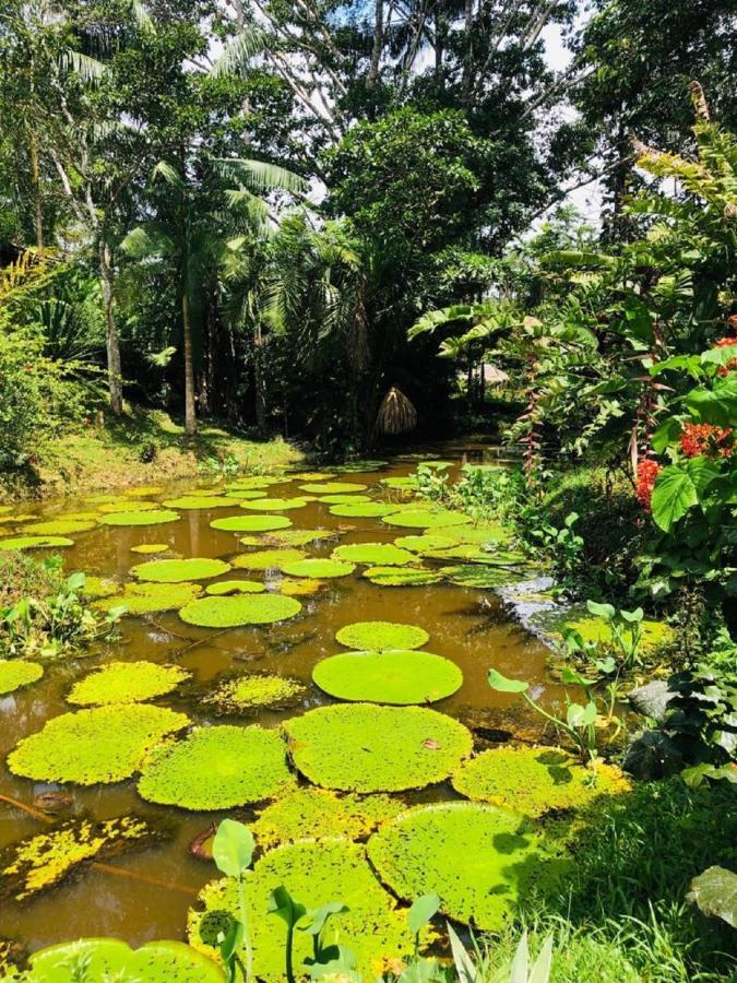 Eco Aldea -amazonas *