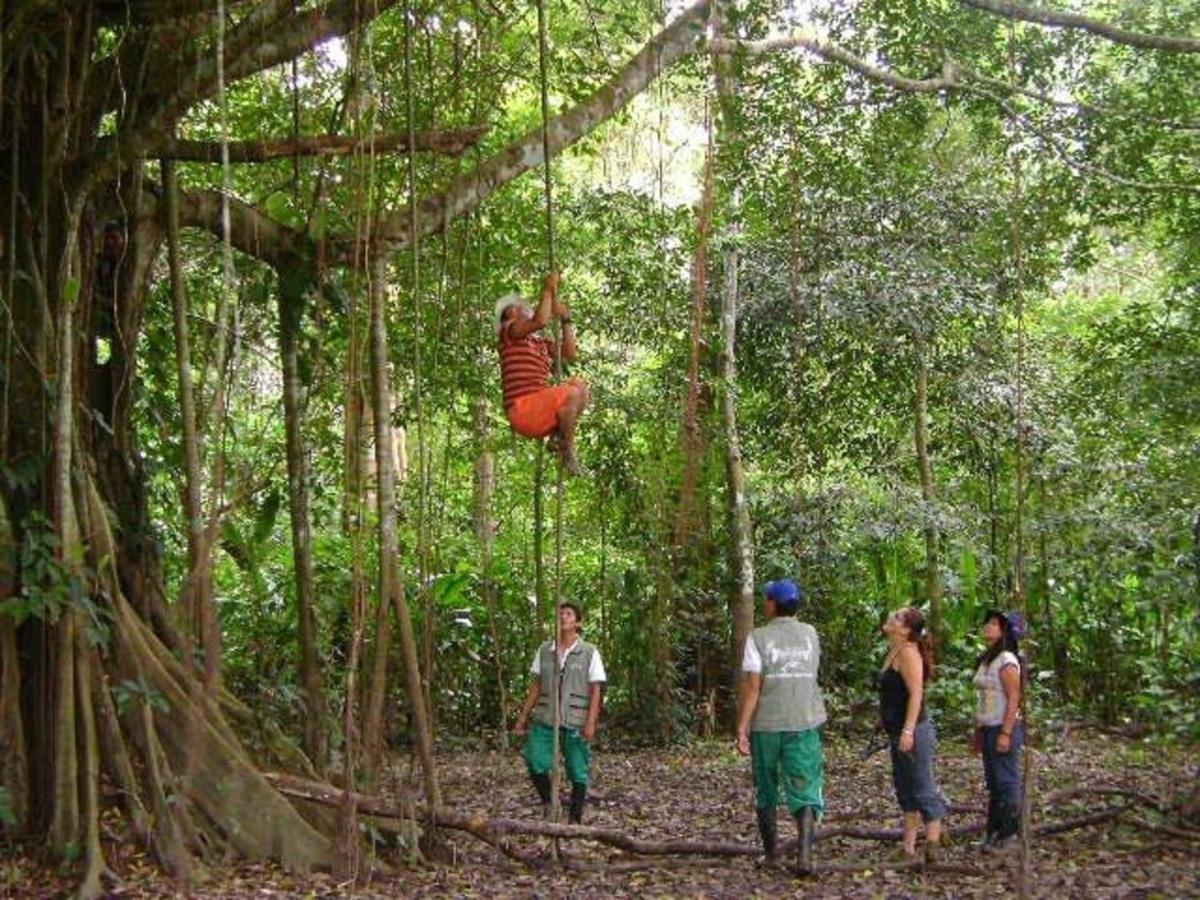 Country house Eco Aldea -amazonas *