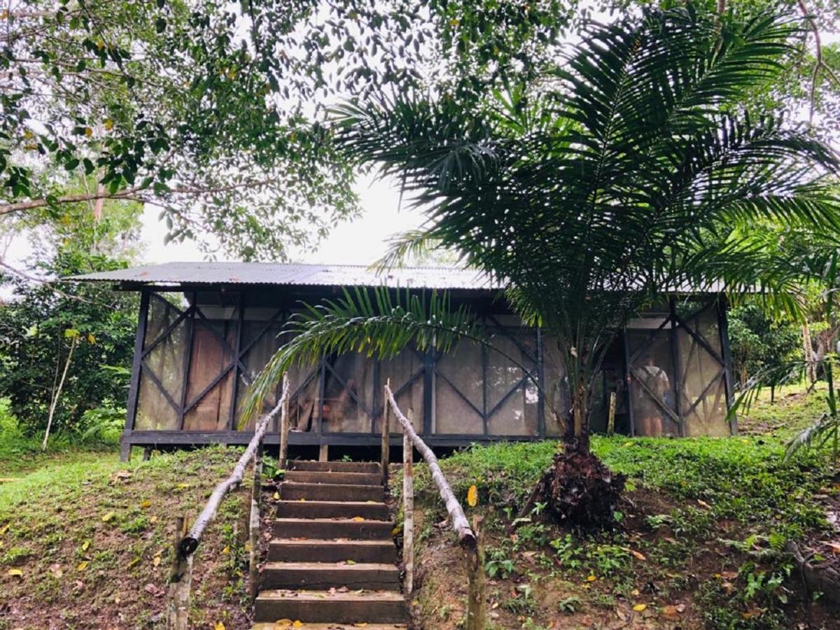 Eco Aldea -amazonas *
